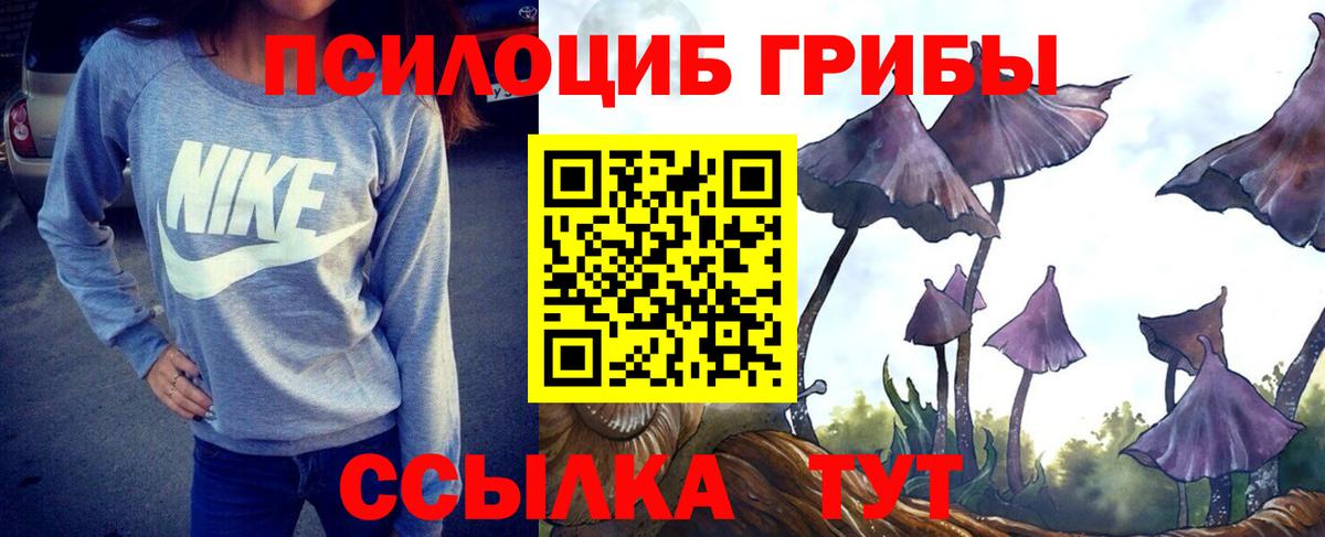 Еманжелинск  Галлюциногенные грибы Cubensis  Вход с VPN 