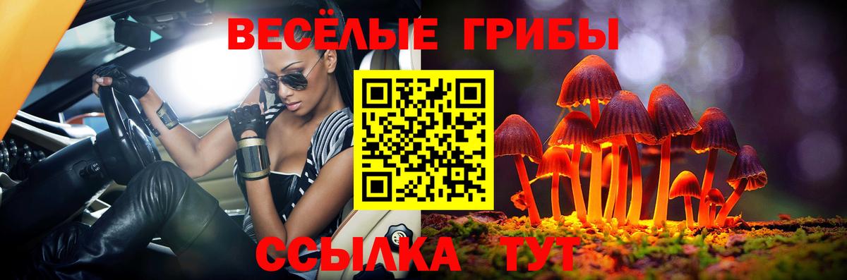 Галлюциногенные грибы Psilocybe Еманжелинск